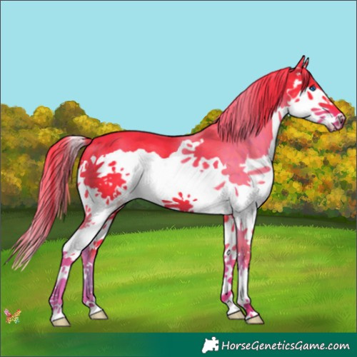 Horse Color:Watercolor Liver Chestnut Splash 
