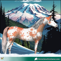 Horse Color:Watercolor Liver Chestnut Splash Tobiano