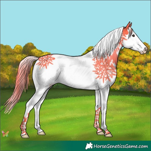 Horse Color:Watercolor Liver Chestnut Splash Tobiano 