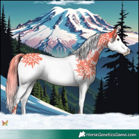 Horse Color:Watercolor Liver Chestnut Splash Tobiano 
