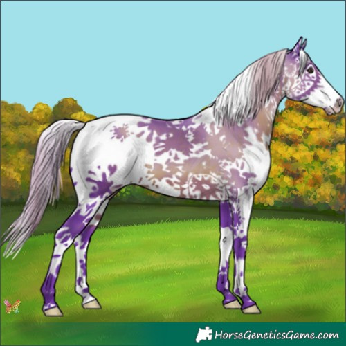 Horse Color:Watercolor Liver Chestnut Splash 