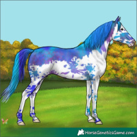 Horse Color:Watercolor Brown Splash