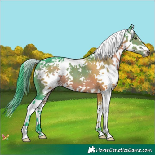 Horse Color:Watercolor Brown Splash 