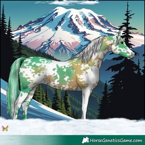 Horse Color:Watercolor Brown Splash 