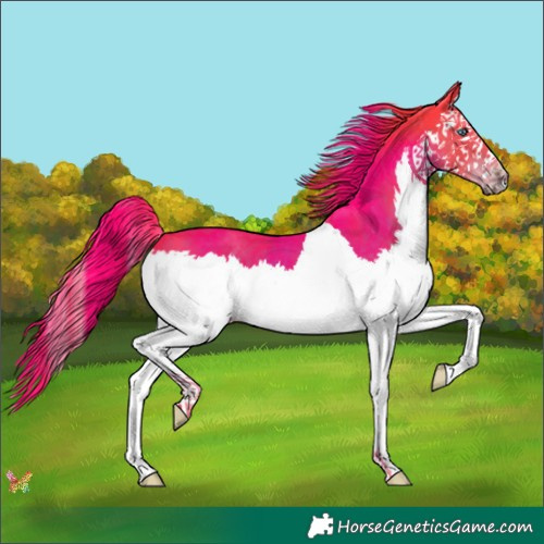 Horse Color:Watercolor Liver Chestnut Splash 