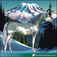 Horse Color:Watercolor Brown Splash 