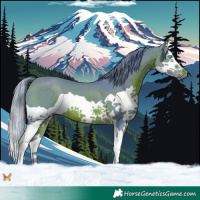 Horse Color:Watercolor Brown Splash 