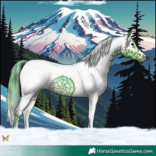 Horse Color:Watercolor Brown Splash