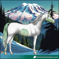Horse Color:Watercolor Brown Splash 