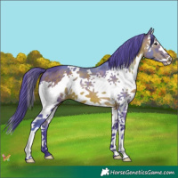 Horse Color:Watercolor Brown Splash