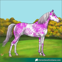 Horse Color:Watercolor Liver Chestnut Splash 