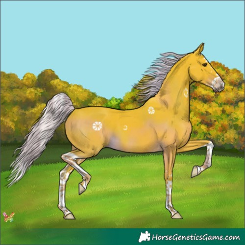 Horse Color:Watercolor Liver Chestnut Splash 