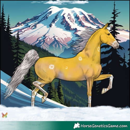 Horse Color:Watercolor Liver Chestnut Splash 