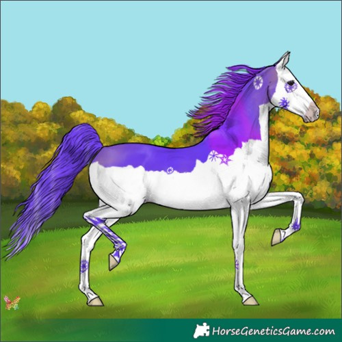 Horse Color:Watercolor Bay Splash 