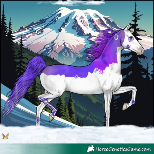 Horse Color:Watercolor Bay Splash 