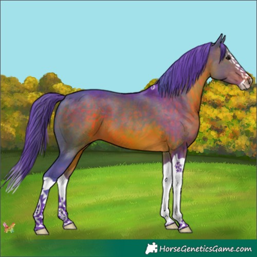 Horse Color:Watercolor Brown Splash 