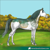Horse Color:Watercolor Bay Splash 