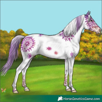Horse Color:Watercolor Liver Chestnut Splash 