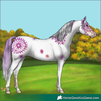 Horse Color:Watercolor Liver Chestnut Splash 