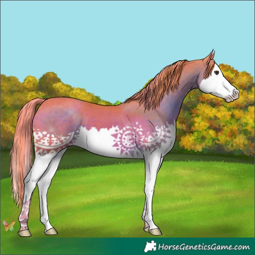 Horse Color:Watercolor Liver Chestnut Splash 