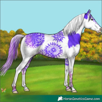 Horse Color:Watercolor Liver Chestnut Splash Tobiano 