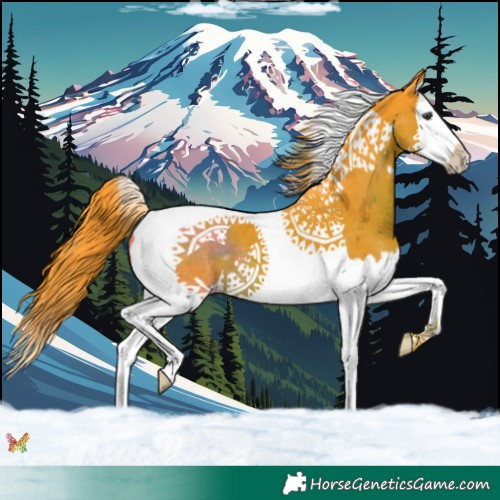 Horse Color:Watercolor Liver Chestnut Splash Tobiano 