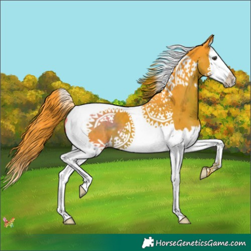 Horse Color:Watercolor Liver Chestnut Splash Tobiano 