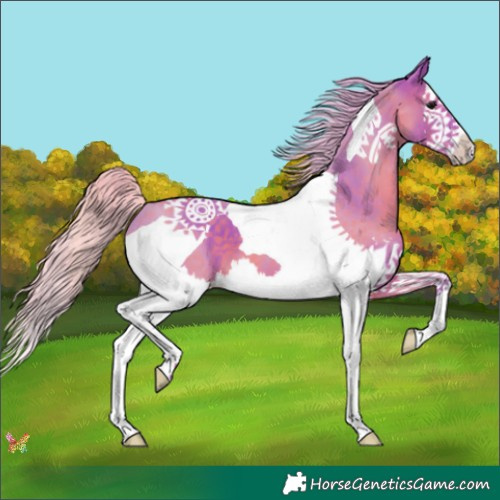 Horse Color:Watercolor Silver Black Splash Tobiano 