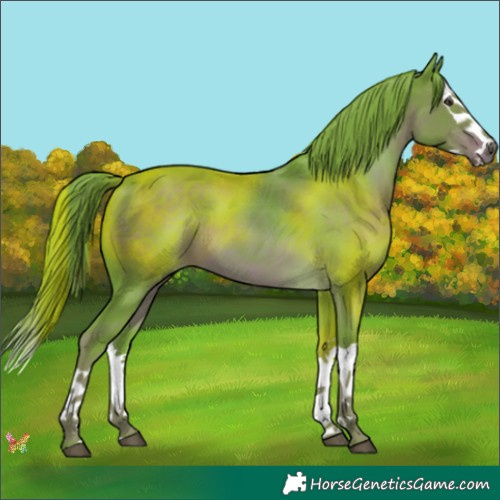 Horse Color:Watercolor Liver Chestnut Splash 