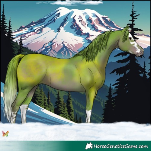 Horse Color:Watercolor Liver Chestnut Splash 