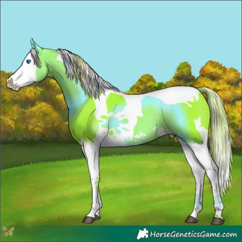 Horse Color:Watercolor Liver Chestnut Splash Tobiano 