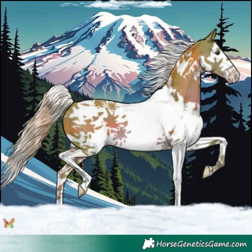 Horse Color:Watercolor Liver Chestnut Splash Tobiano 