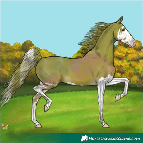 Horse Color:Watercolor Liver Chestnut Splash 
