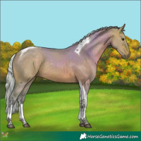 Horse Color:Watercolor Silver Brown Dun Tobiano