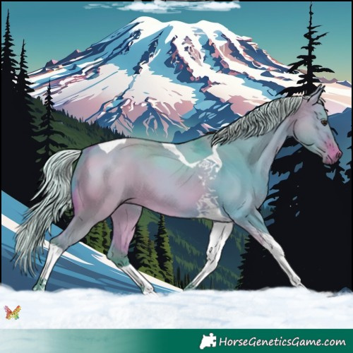 Horse Color:Watercolor Silver Bay Dun Tobiano 