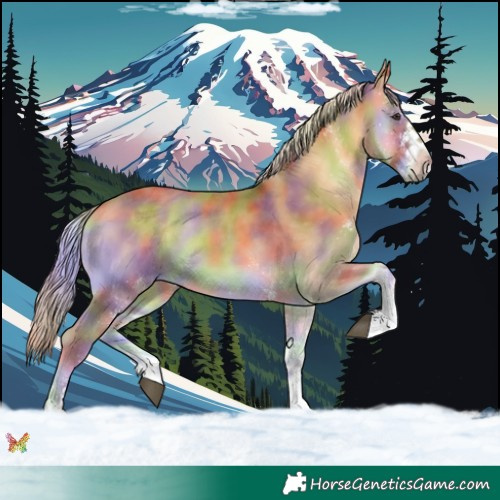 Horse Color:Nacre White Spotted Palomino Onyx 