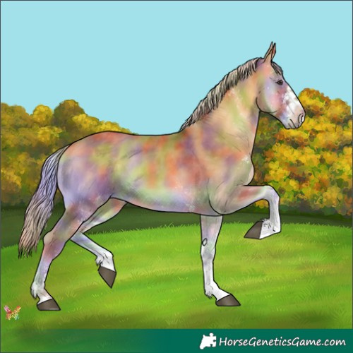 Horse Color:Nacre White Spotted Palomino Onyx 