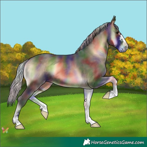 Horse Color:Nacre Silver Brown Onyx 