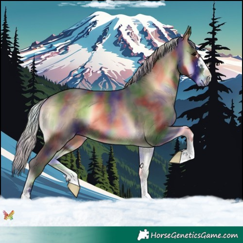 Horse Color:Nacre Silver Brown Onyx 