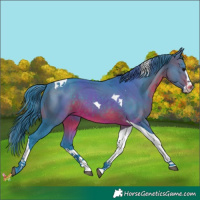 Horse Color:Watercolor Brown Splash Tobiano 