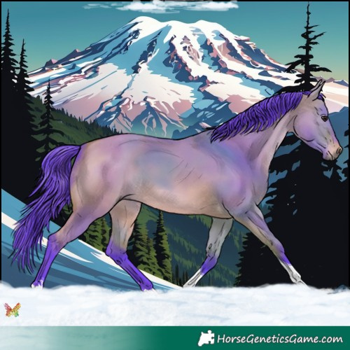 Horse Color:Watercolor Bay Dun Tobiano 