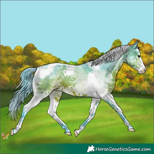 Horse Color:Watercolor White Spotted Brown Splash Tobiano 