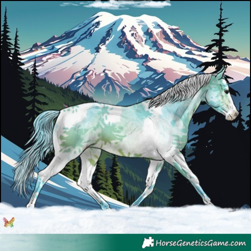 Horse Color:Watercolor White Spotted Brown Splash Tobiano 