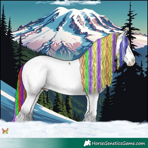 Horse Color:Painted White Spotted Liver Red Onyx Frame Appaloosa 