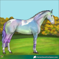Horse Color:Watercolor Buckskin Dun Sabino Splash Tobiano 