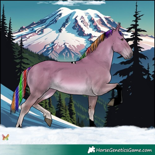 Horse Color:Painted Chocolate Palomino Dun Tobiano 