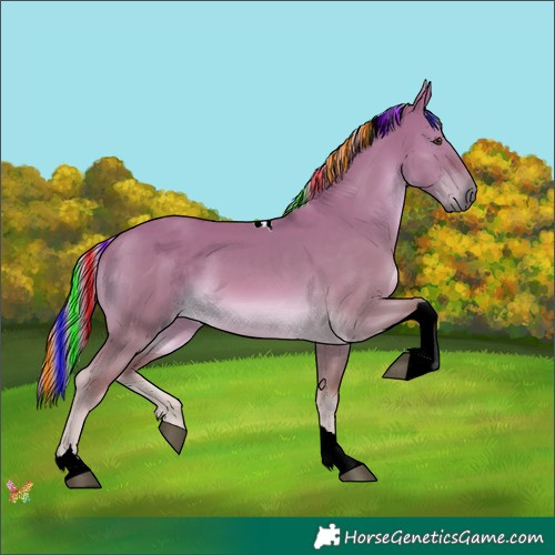 Horse Color:Painted Chocolate Palomino Dun Tobiano 