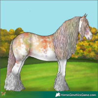 Horse Color:Nacre White Spotted Palomino Onyx 