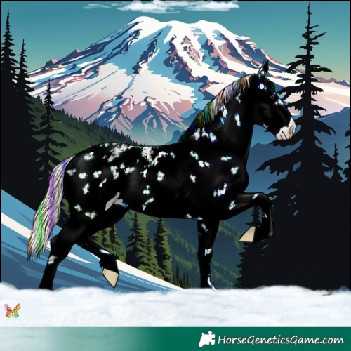 Horse Color:Painted White Spotted Palomino Dun Sabino 