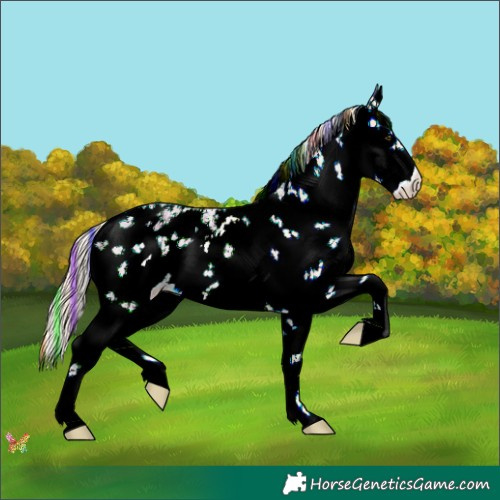 Horse Color:Painted White Spotted Palomino Dun Sabino 